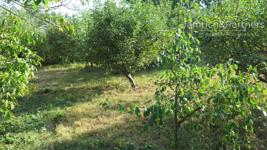 Predávame 2 STAVEBNÉ POZEMKY v obci Lužianky, okres Nitra